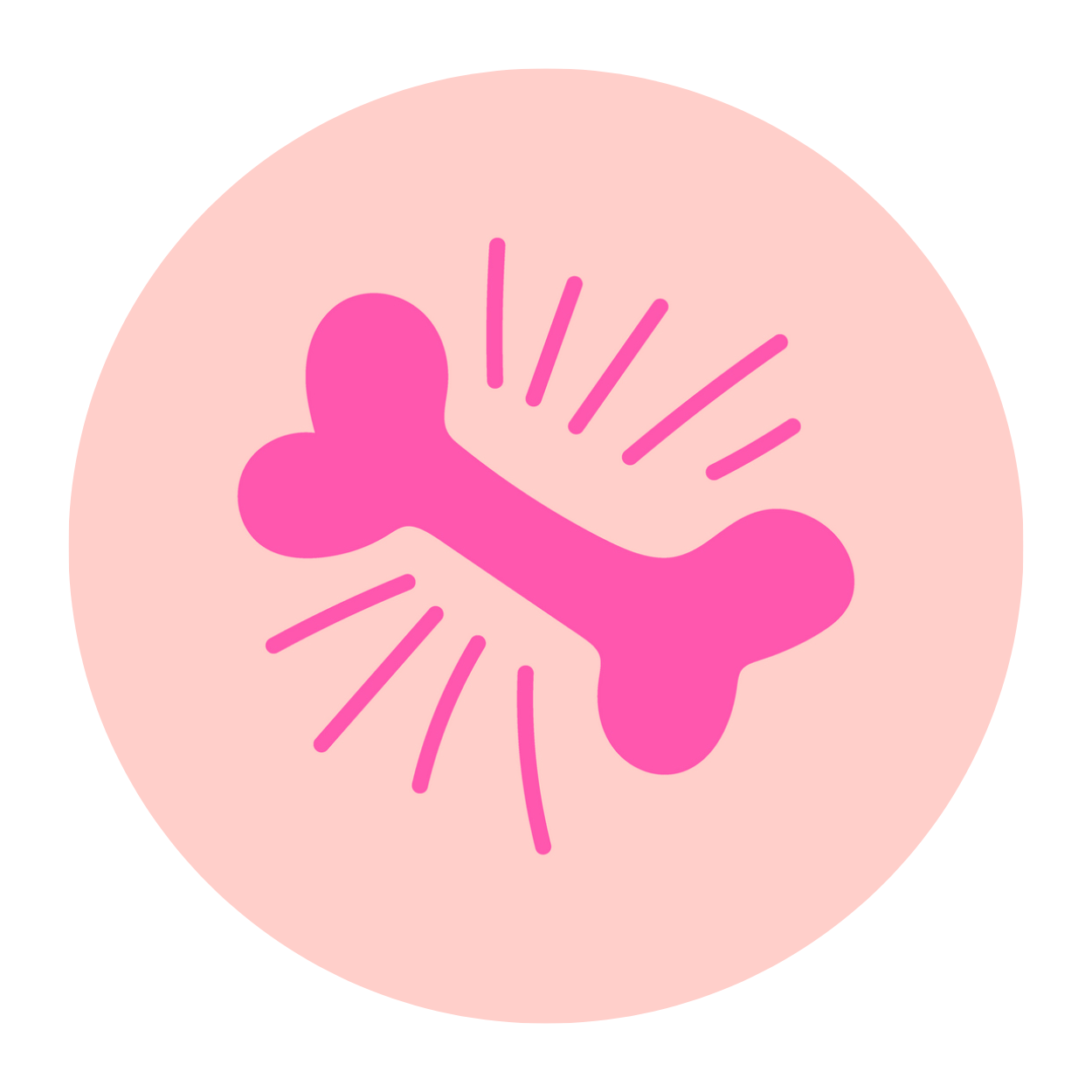 DOG SERVICES Hot Dog Grooming Grooming Houston